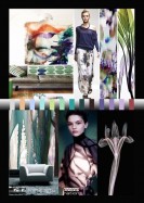 Color Nation - Home + Interior + Fashion