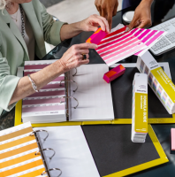 Pantone&reg; Reference Library 8706 Colori