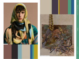Trendhub Colour AW 27/28
