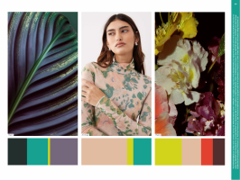 Trendhub Lingerie & Sleep AW 27/28