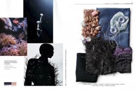 Zoom on Fashion Trends no. 76 AW26/27 + SS27