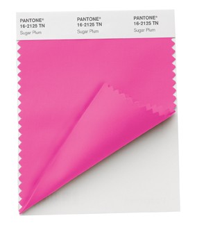 Pantone® for Fashion & Home Nylon Brights Smart Color Swatch Cards Double Folded TN Nylon