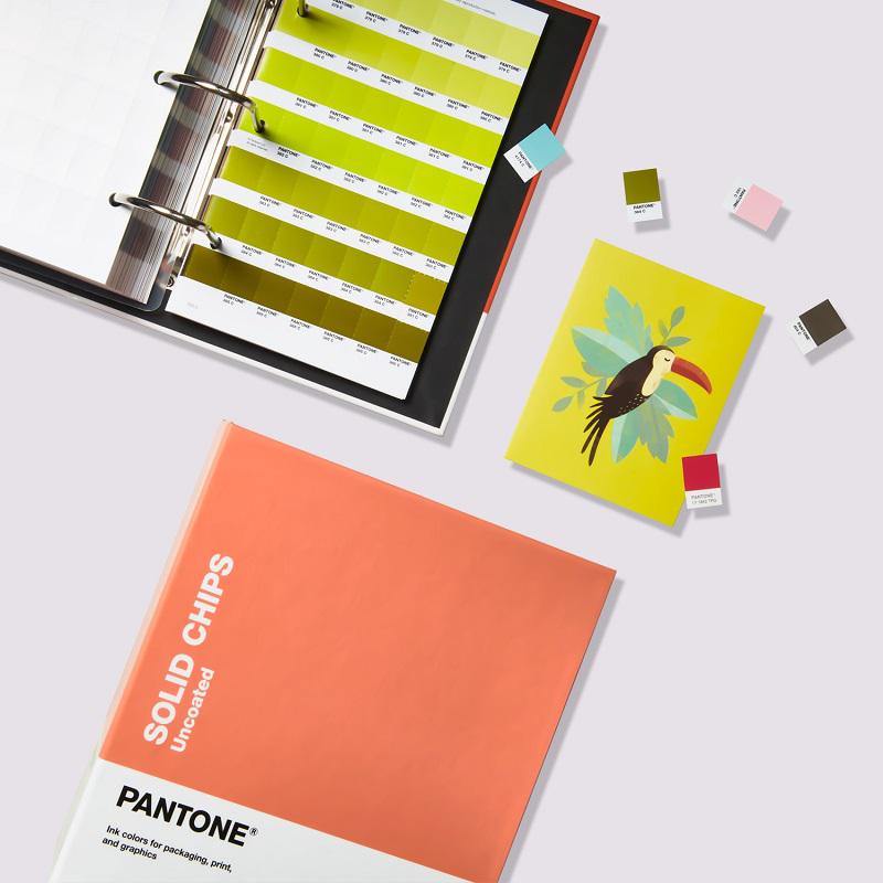 Pantone® Pantone Solid Chips Coated & Uncoated (2-book set